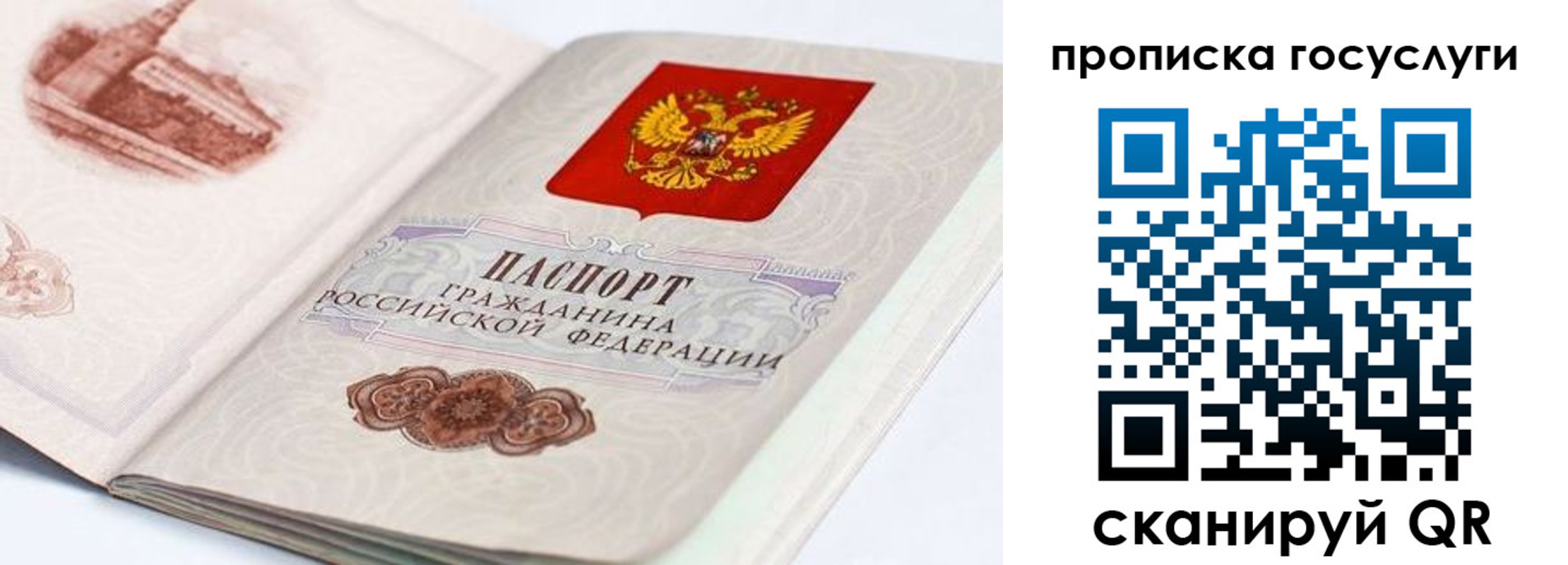 прописка гарантия в Буйе